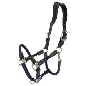 Cordano Deluxe FS 2026 Halfter
