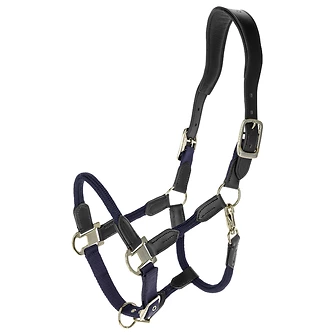 Cordano Deluxe FS 2026 Halfter