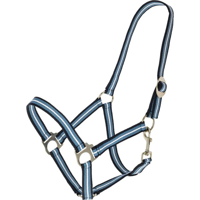 Nylonhalfter Hippo FS 2026 Halfter – Bild 3