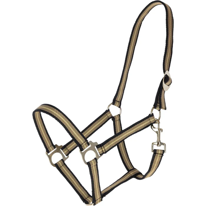 Nylonhalfter Hippo FS 2026 Halfter – Bild 2